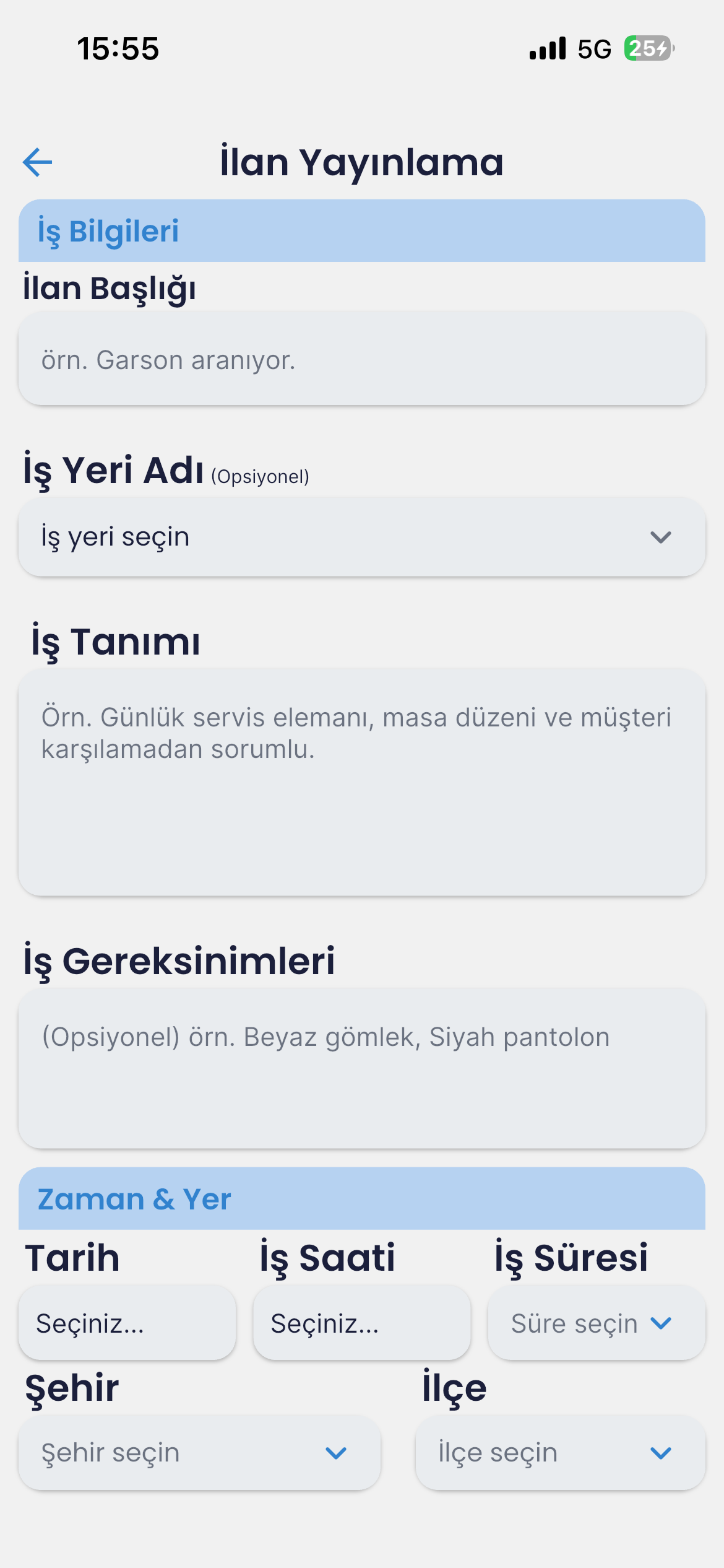 Detayları Girin